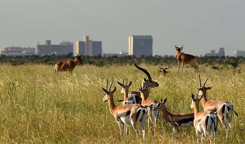 Nairobi Excursions